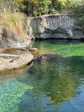 天王寺動物園に投稿された画像（2023/11/5）