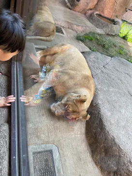 天王寺動物園に投稿された画像（2023/11/5）