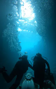 武藤潜水に投稿された画像（2023/11/5）
