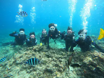 武藤潜水に投稿された画像（2023/11/5）