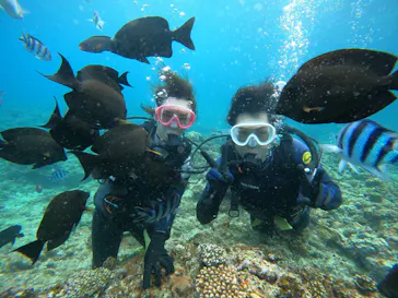 武藤潜水に投稿された画像（2023/11/5）