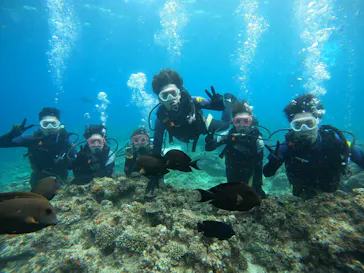 武藤潜水に投稿された画像（2023/11/5）