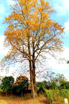 いばらきフラワーパークに投稿された画像（2023/11/5）