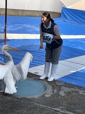 大分マリーンパレス水族館 「うみたまご」に投稿された画像（2023/11/5）