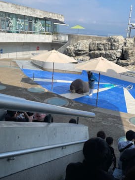 大分マリーンパレス水族館 「うみたまご」に投稿された画像（2023/11/5）