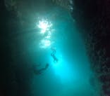 青の洞窟専門店　沖縄ダイビングショップ和に投稿された画像（2023/11/5）