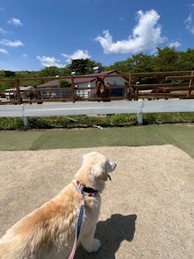 那須どうぶつ王国に投稿された画像（2023/11/5）