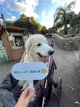 伊豆シャボテン動物公園に投稿された画像（2023/11/5）
