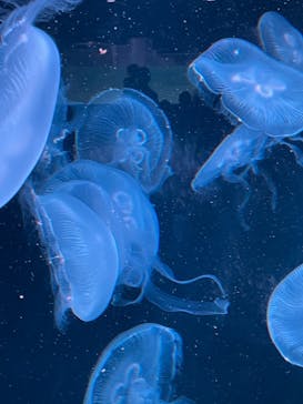 AOAO SAPPOROに投稿された画像（2023/11/5）