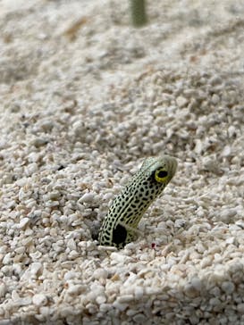 AOAO SAPPOROに投稿された画像（2023/11/5）