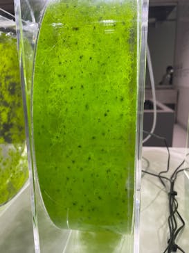 AOAO SAPPOROに投稿された画像（2023/11/5）