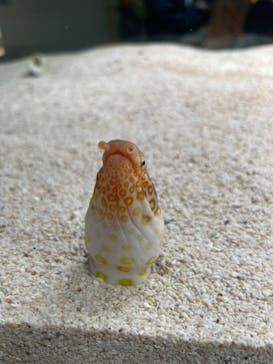 AOAO SAPPOROに投稿された画像（2023/11/5）