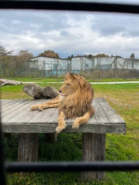 那須サファリパークに投稿された画像（2023/11/5）