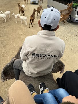 那須サファリパークに投稿された画像（2023/11/5）