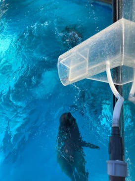 マリンワールド海の中道に投稿された画像（2023/11/5）