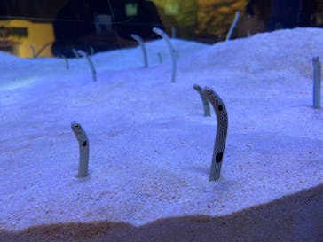 マリンワールド海の中道に投稿された画像（2023/11/5）