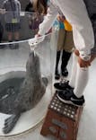 しながわ水族館に投稿された画像（2023/11/5）