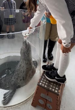 しながわ水族館に投稿された画像（2023/11/5）