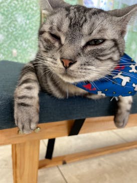 Moff animal world BIGHOPガーデンモール印西店に投稿された画像（2023/11/5）