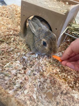 Moff animal world BIGHOPガーデンモール印西店に投稿された画像（2023/11/5）