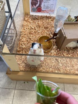 Moff animal world BIGHOPガーデンモール印西店に投稿された画像（2023/11/5）