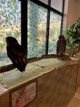 Moff animal world BIGHOPガーデンモール印西店に投稿された画像（2023/11/5）