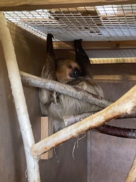 Moff animal world BIGHOPガーデンモール印西店に投稿された画像（2023/11/5）