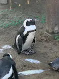 名古屋港水族館に投稿された画像（2023/11/5）