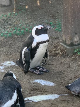 名古屋港水族館に投稿された画像（2023/11/5）