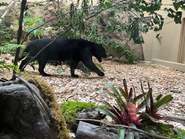 名古屋市東山動植物園に投稿された画像（2023/11/5）