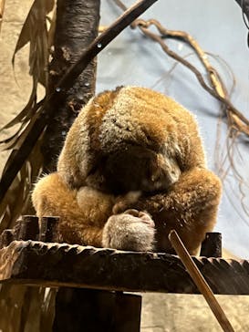 名古屋市東山動植物園に投稿された画像（2023/11/5）