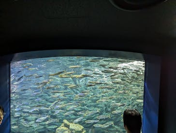 サンシャイン水族館に投稿された画像（2023/11/5）