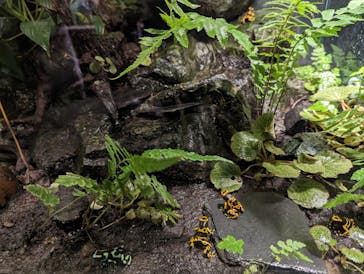 サンシャイン水族館に投稿された画像（2023/11/5）