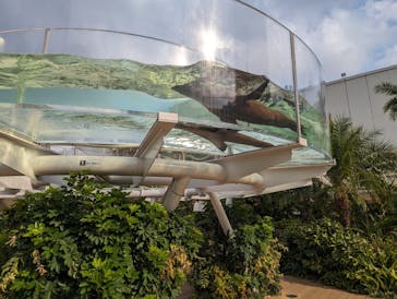 サンシャイン水族館に投稿された画像（2023/11/5）