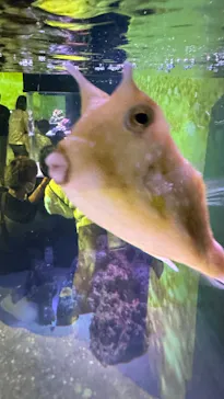 マクセル アクアパーク品川に投稿された画像（2023/11/5）