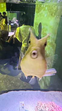 マクセル アクアパーク品川に投稿された画像（2023/11/5）