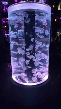 マクセル アクアパーク品川に投稿された画像（2023/11/5）