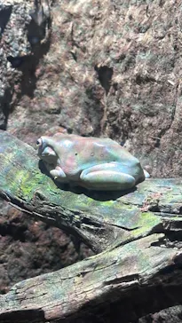 マクセル アクアパーク品川に投稿された画像（2023/11/5）