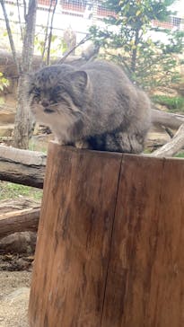 那須どうぶつ王国に投稿された画像（2023/11/5）