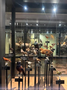 国立科学博物館に投稿された画像（2023/11/5）