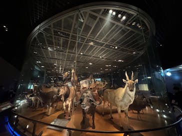 国立科学博物館に投稿された画像（2023/11/5）