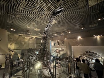 国立科学博物館に投稿された画像（2023/11/5）