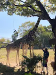天王寺動物園に投稿された画像（2023/11/5）