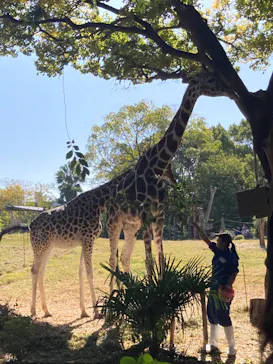 天王寺動物園に投稿された画像（2023/11/5）