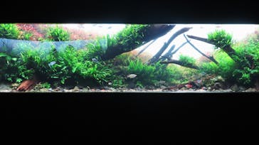 AOAO SAPPOROに投稿された画像（2023/11/5）