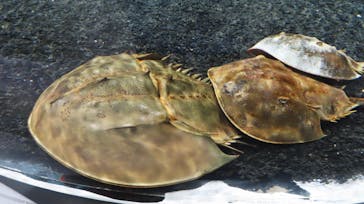 AOAO SAPPOROに投稿された画像（2023/11/5）