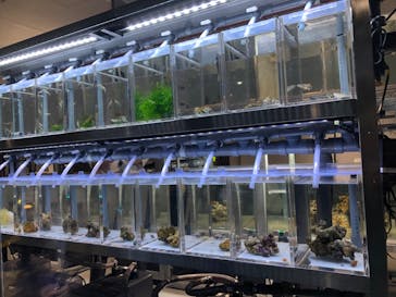 AOAO SAPPOROに投稿された画像（2023/11/5）