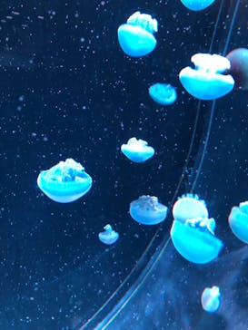 AOAO SAPPOROに投稿された画像（2023/11/5）