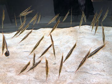 AOAO SAPPOROに投稿された画像（2023/11/5）