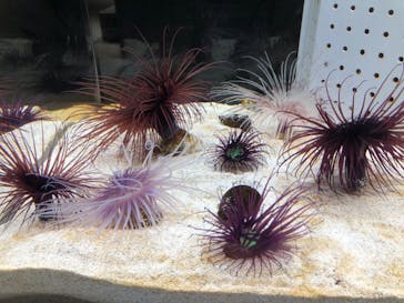 AOAO SAPPOROに投稿された画像（2023/11/5）